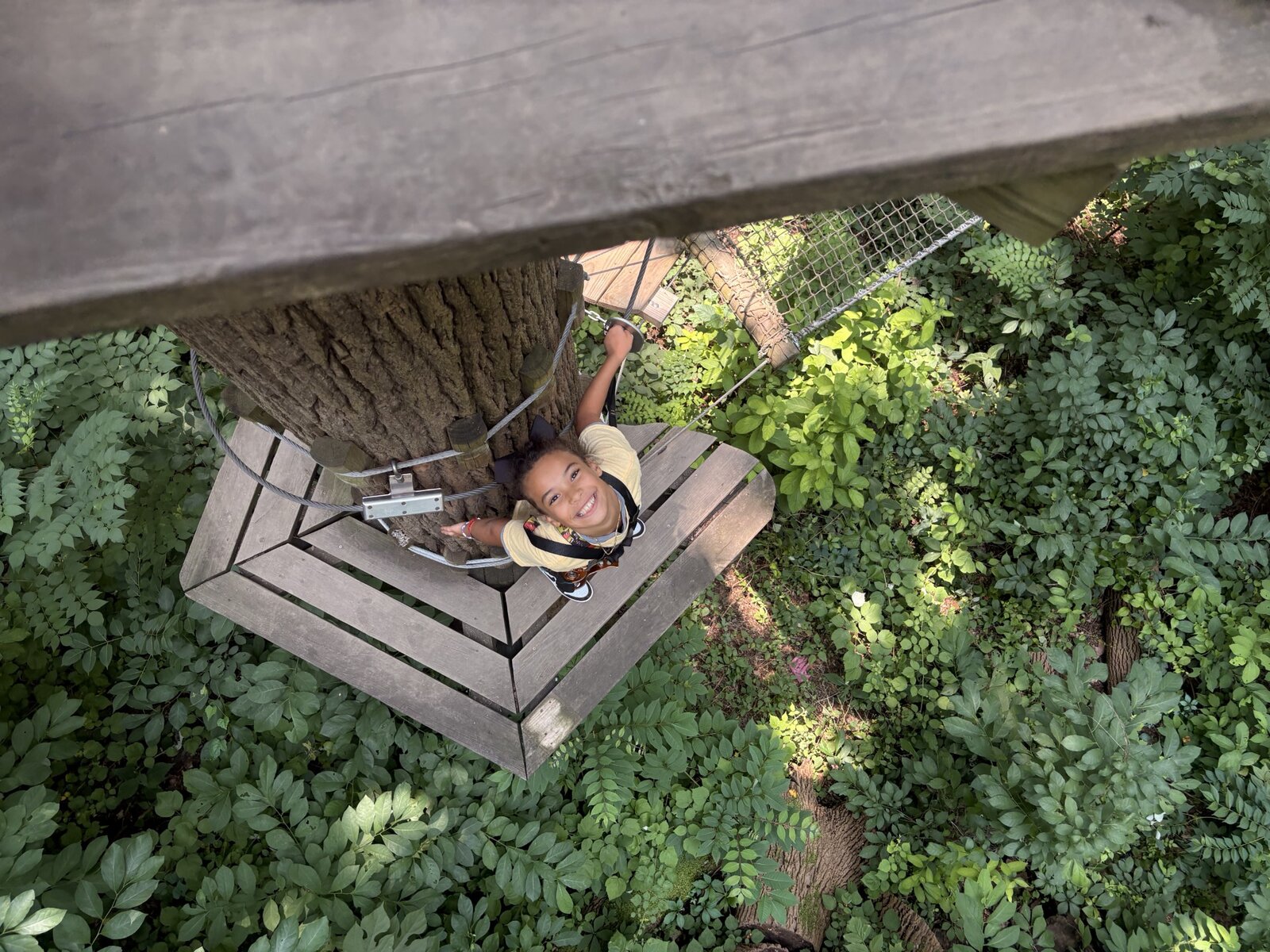 A student on a treetop adventure course field trip with Mother of Mercy House